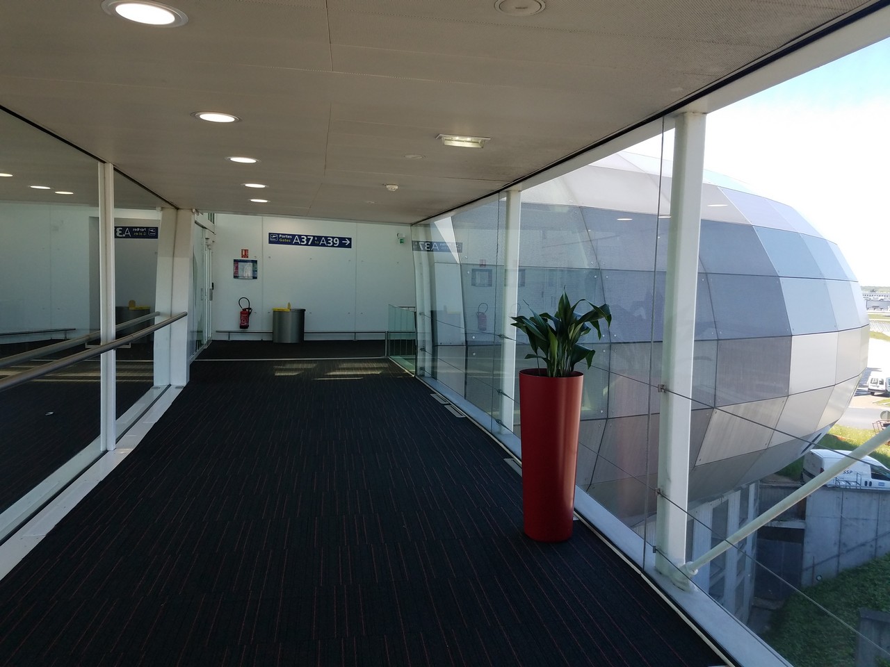 a hallway with glass walls and a planter
