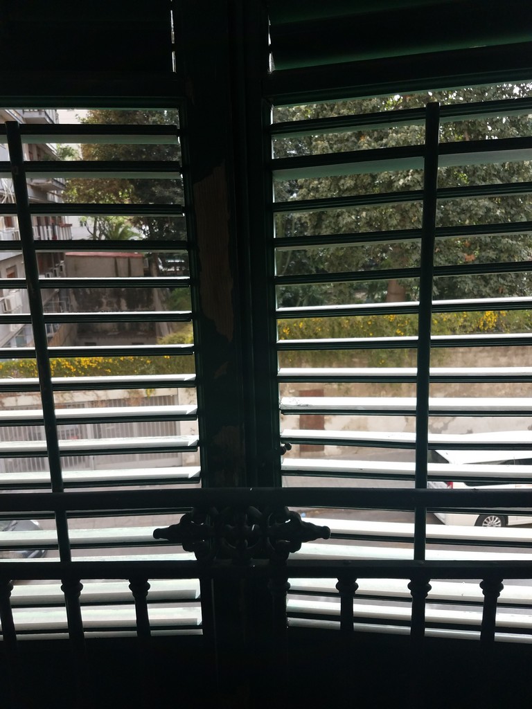 a window with shutters and trees