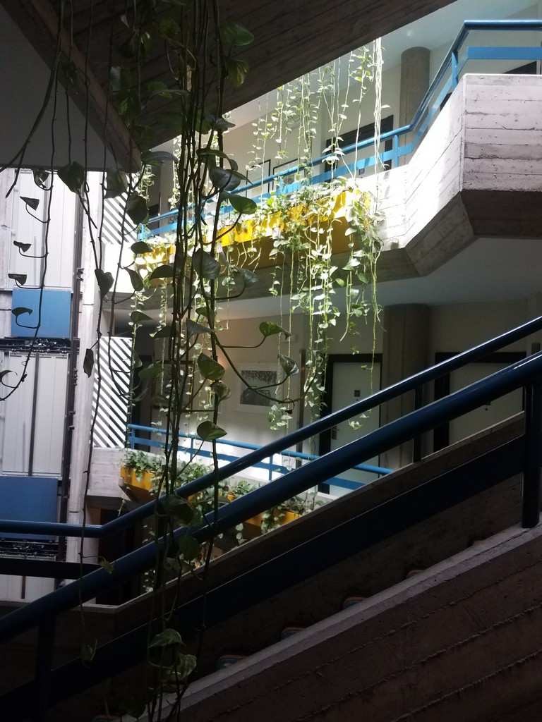 a staircase with plants from it