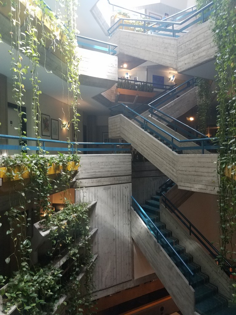a staircase with plants growing on it