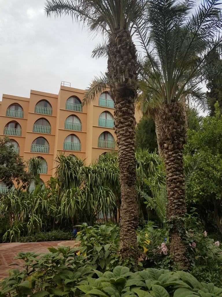 a building with palm trees and bushes