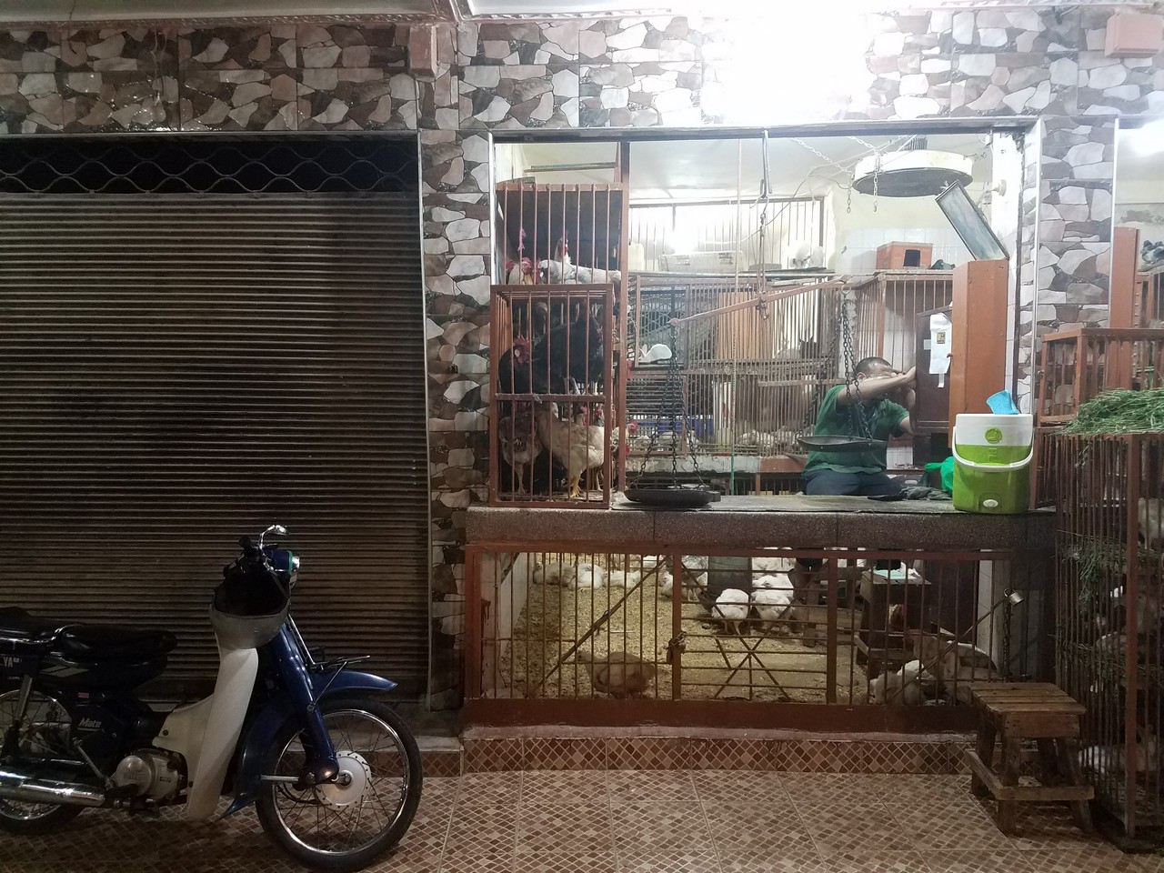 a scooter and a cage with chickens in it