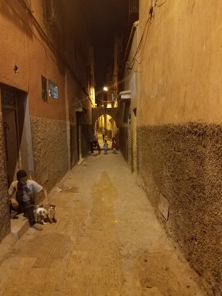 a man and cat in a narrow alley