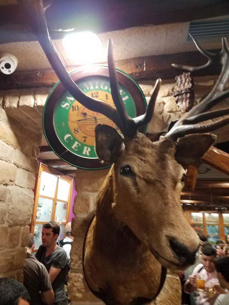 a stuffed deer with antlers