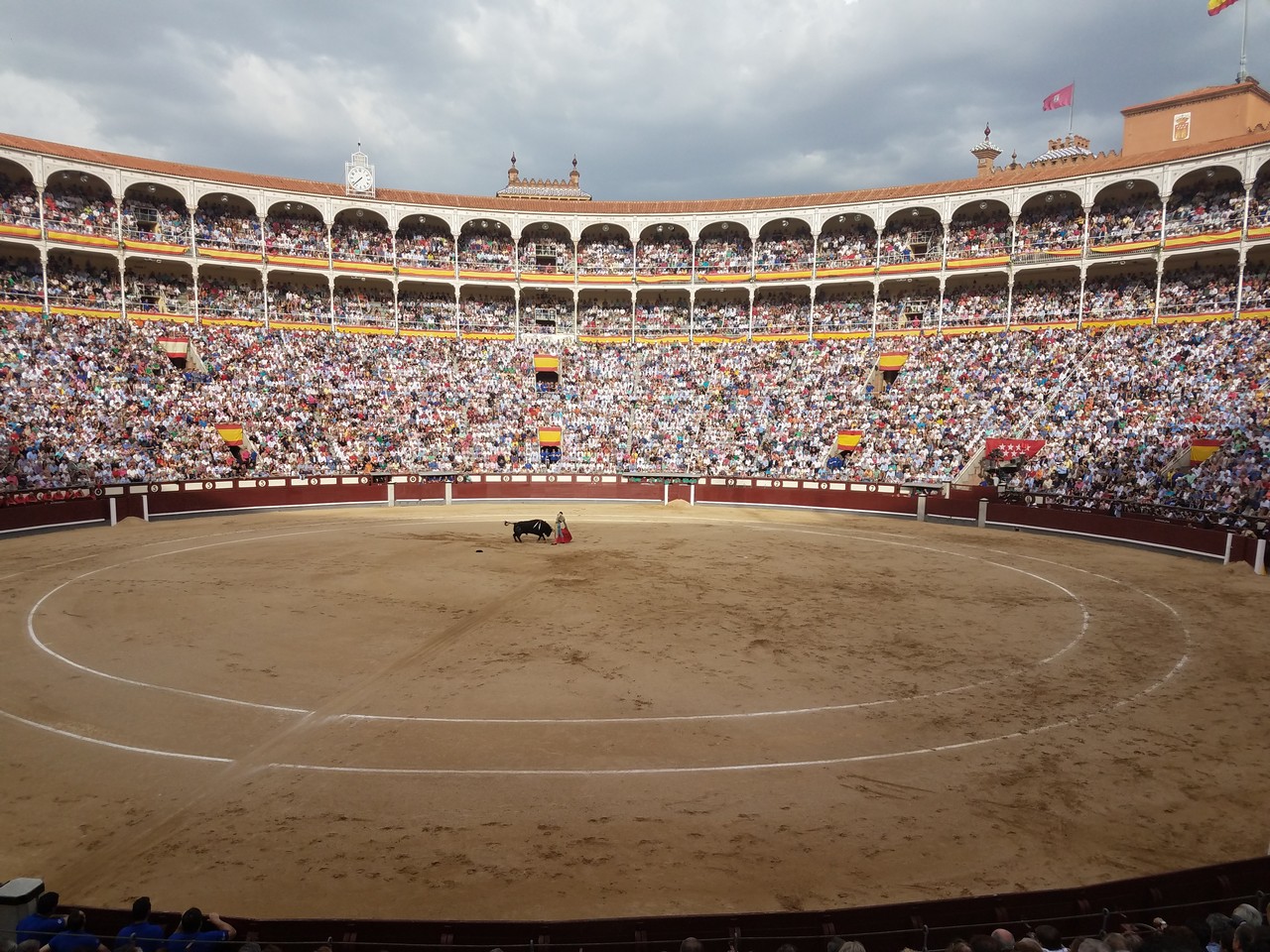 a bull in a arena with a crowd of people