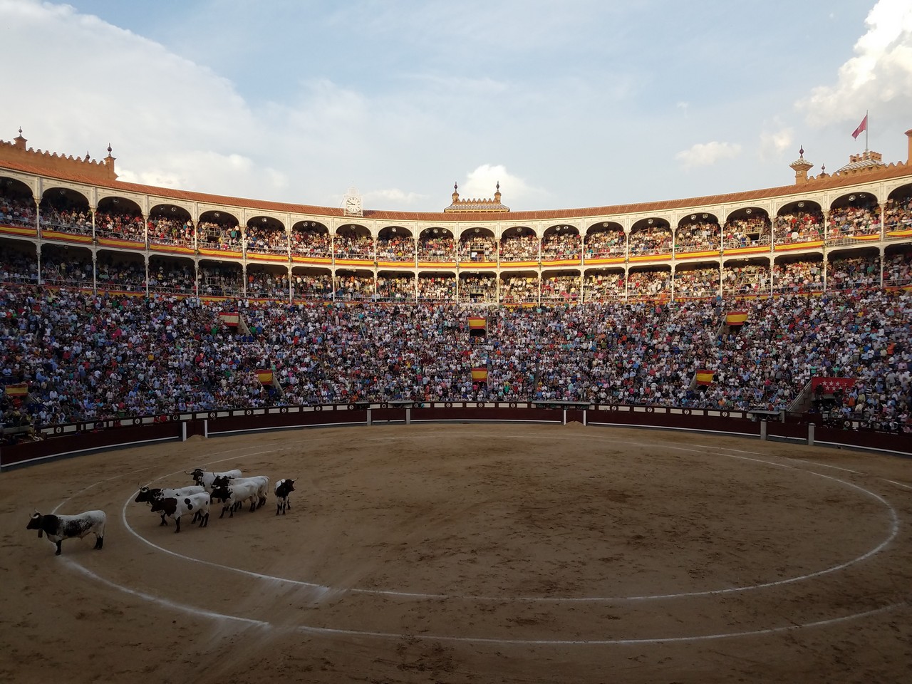 a crowd of people in a stadium with a bullring