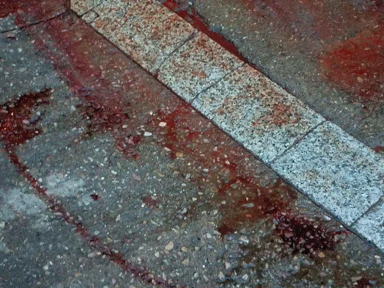 a red blood on the ground