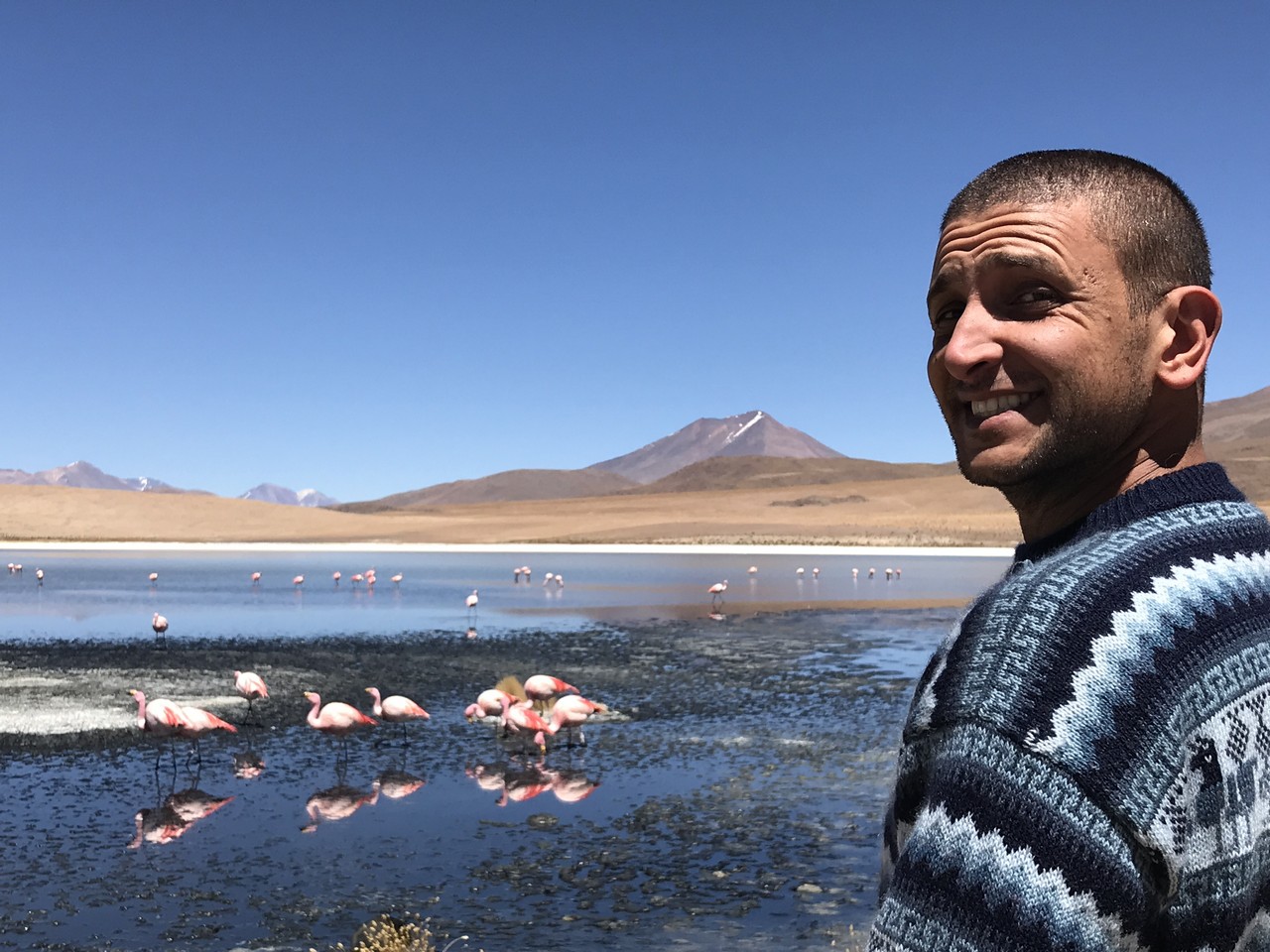a man standing in a body of water with flamingos in the background