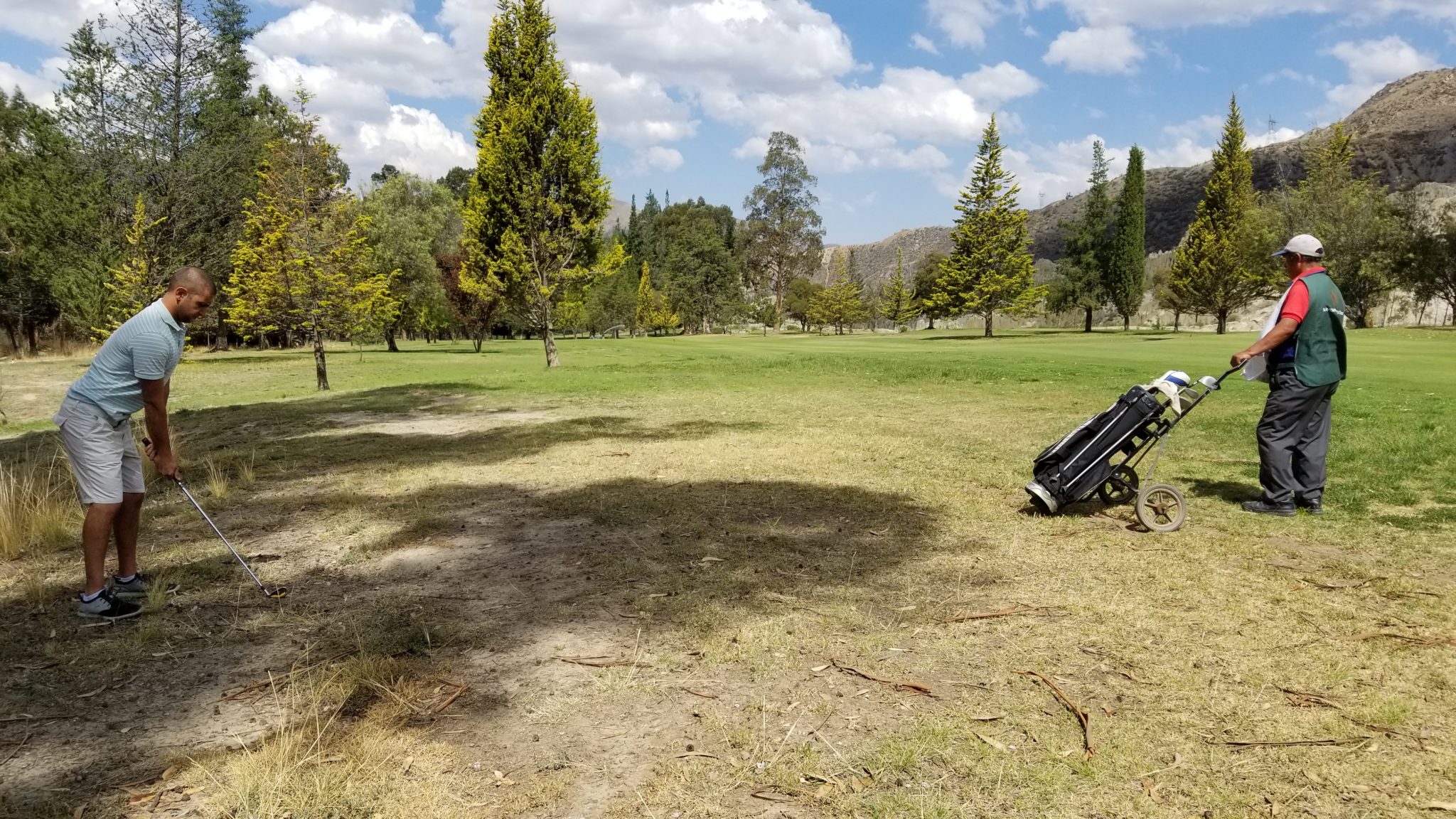 a golf cart in a grassy field