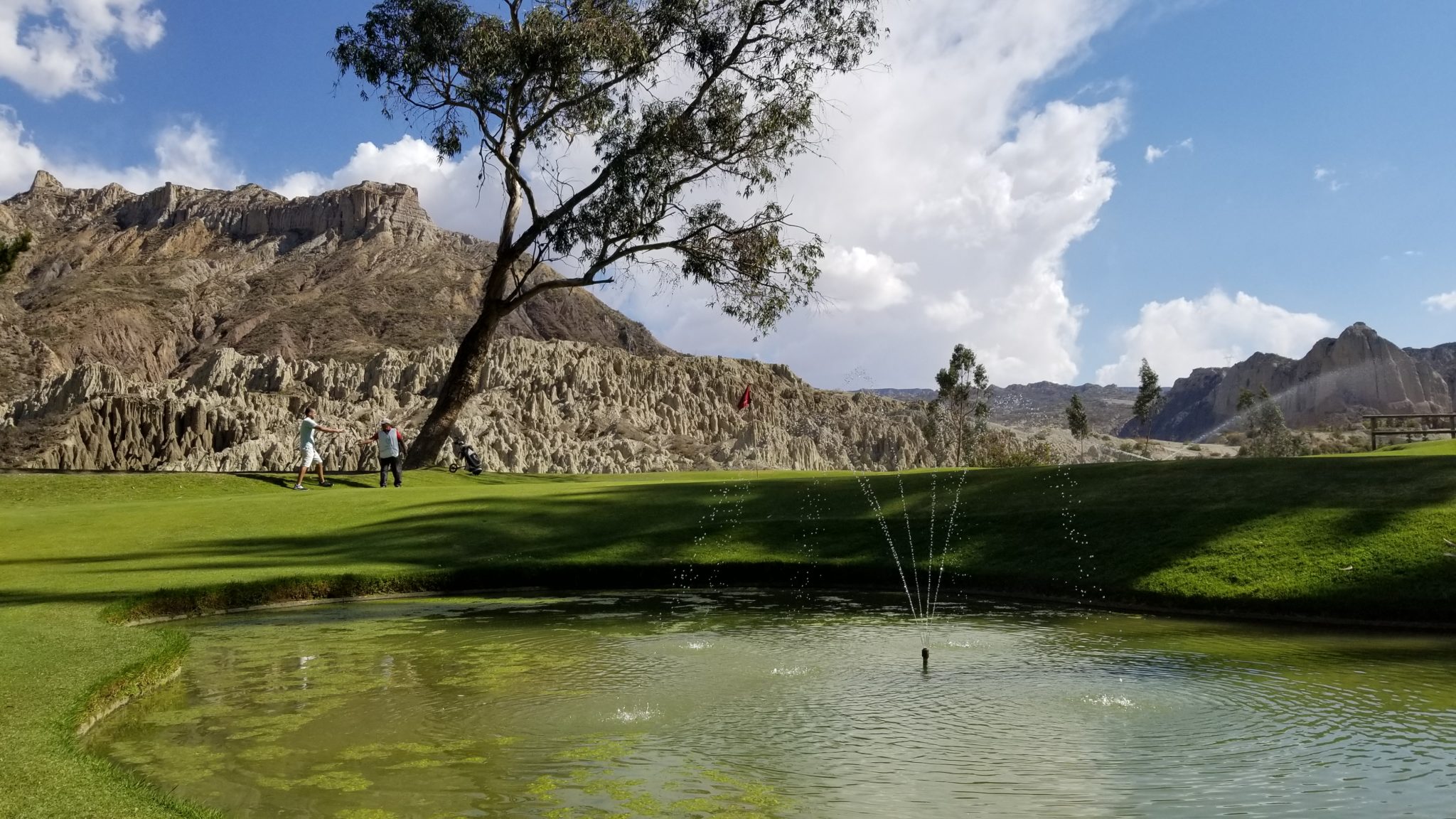 a pond with a fountain in the middle of a golf course