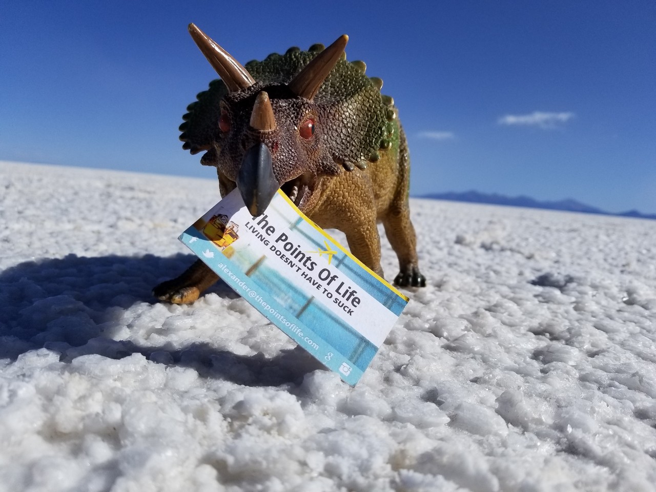 a toy dinosaur with a card in its mouth