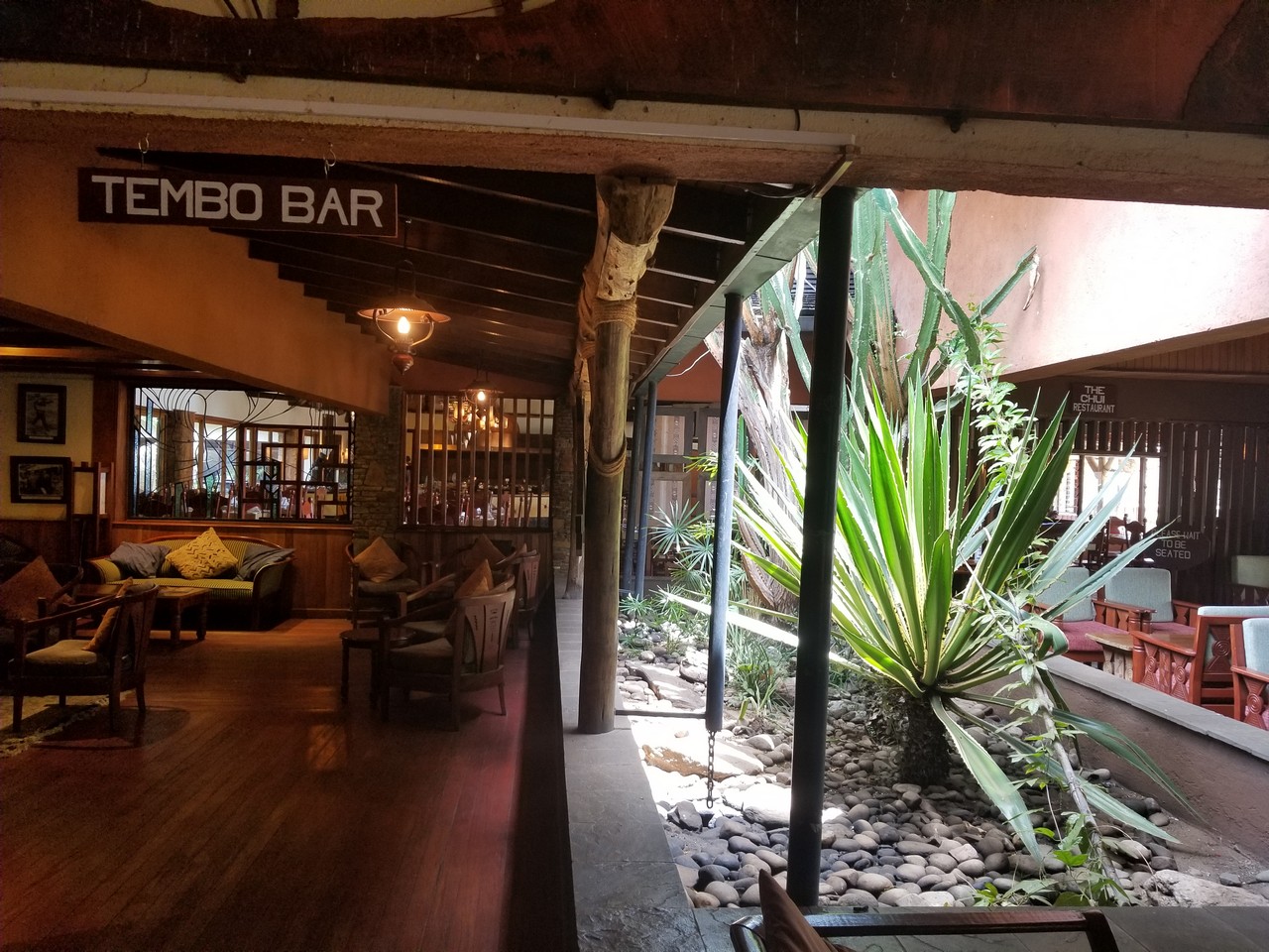 a room with a bar and a plant