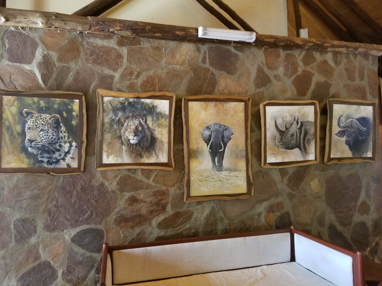 a group of pictures of animals on a wall
