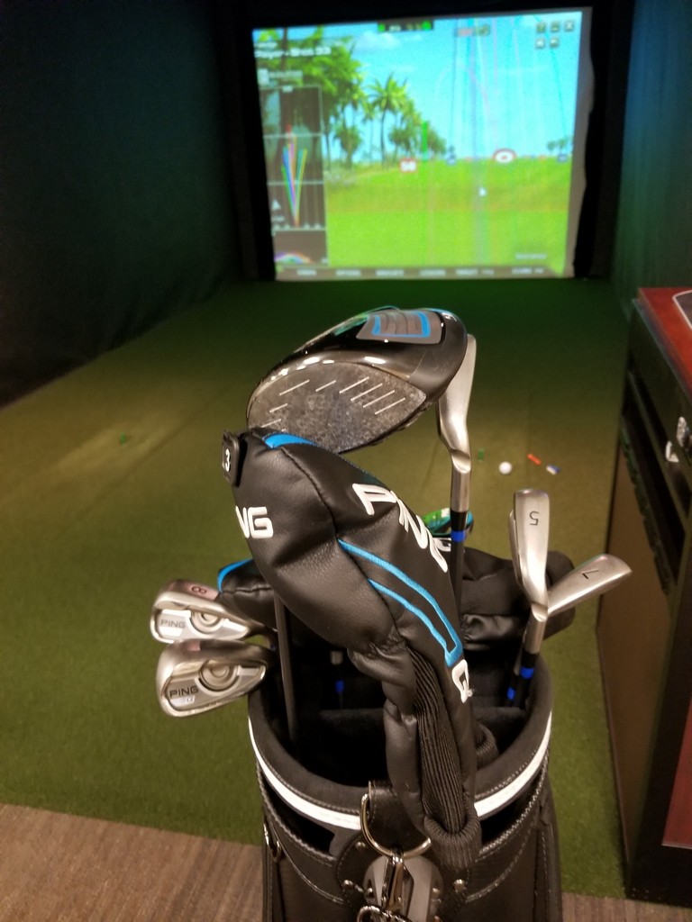 a golf clubs in a bag