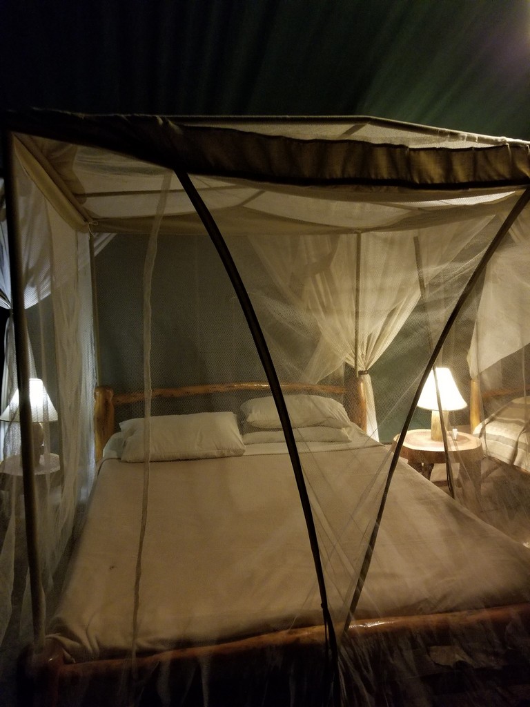 a bed with a mosquito net