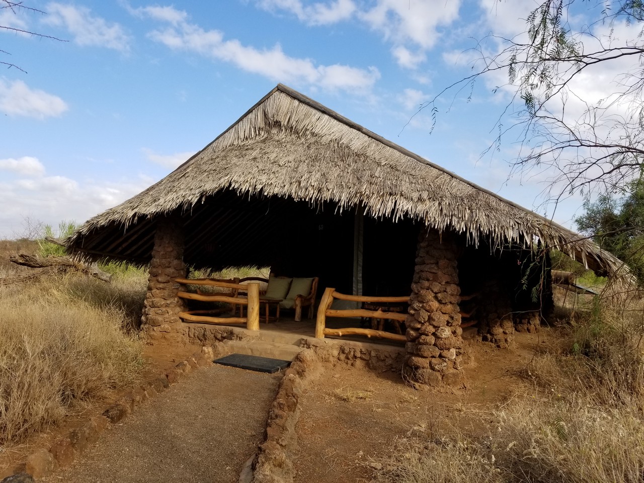 a hut with a thatched roof