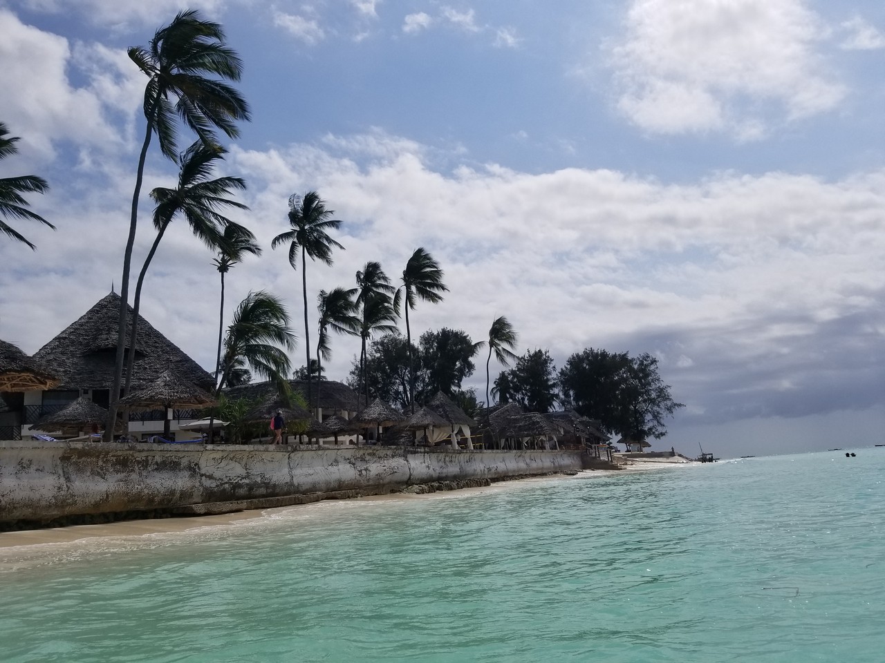 a beach with palm trees and a thatched roof