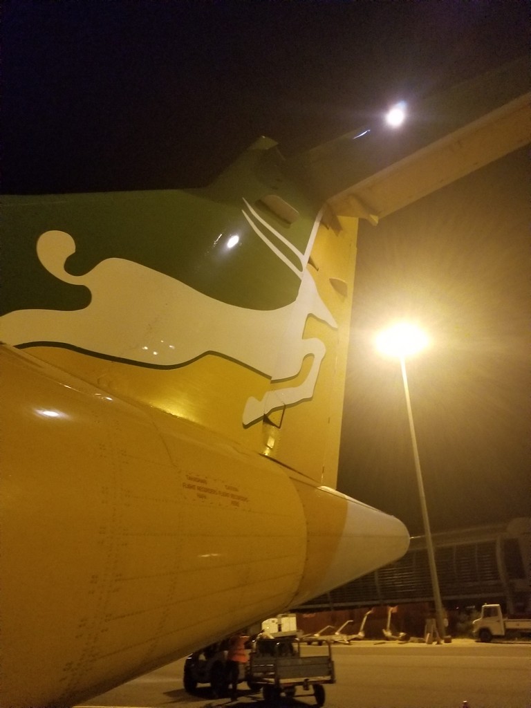 the tail of a plane with a dog on it