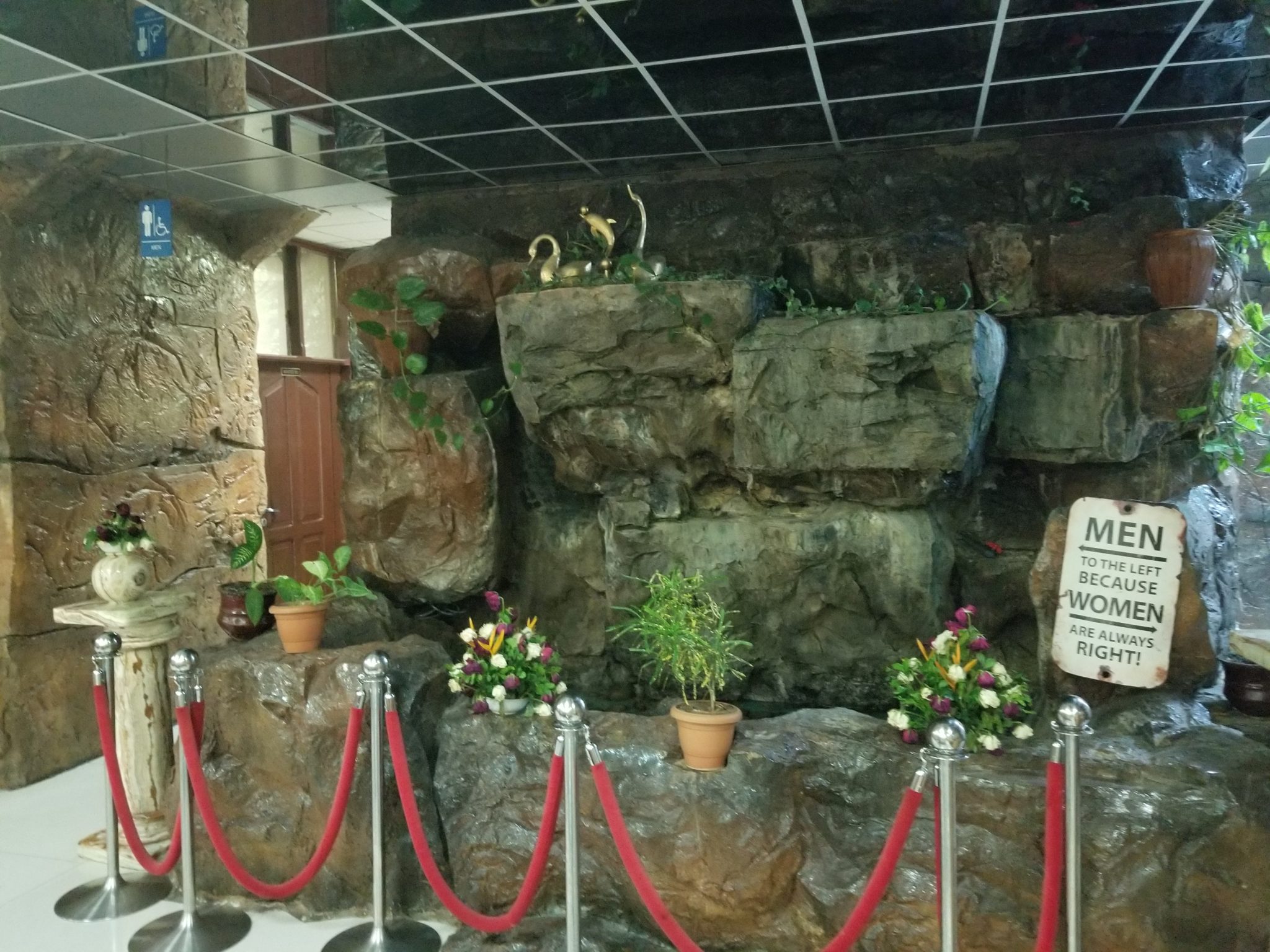 a roped up area with a rock wall and plants