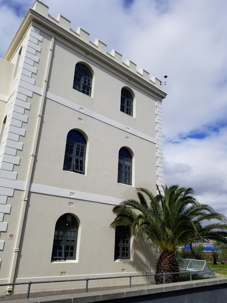 a white building with a palm tree
