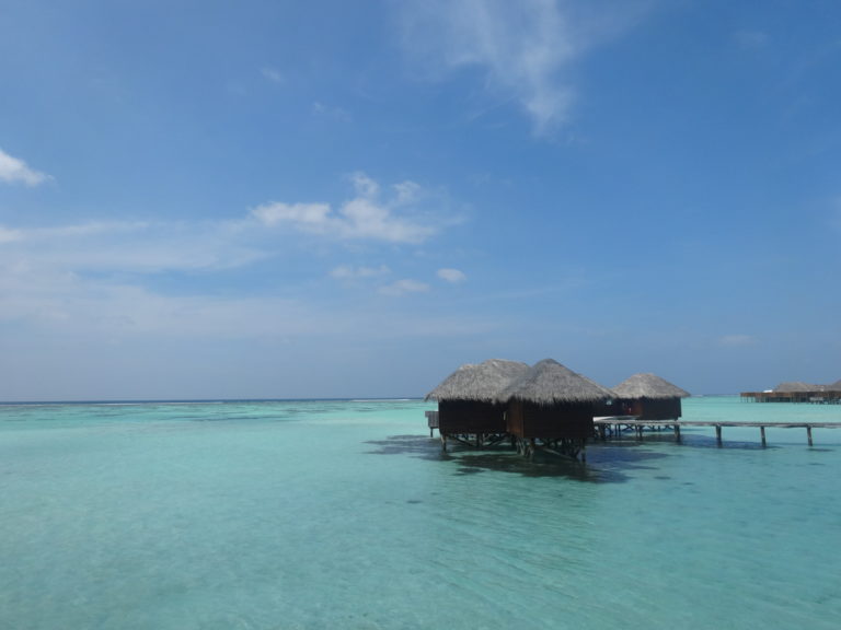 30 Days to Maldives: Step 5