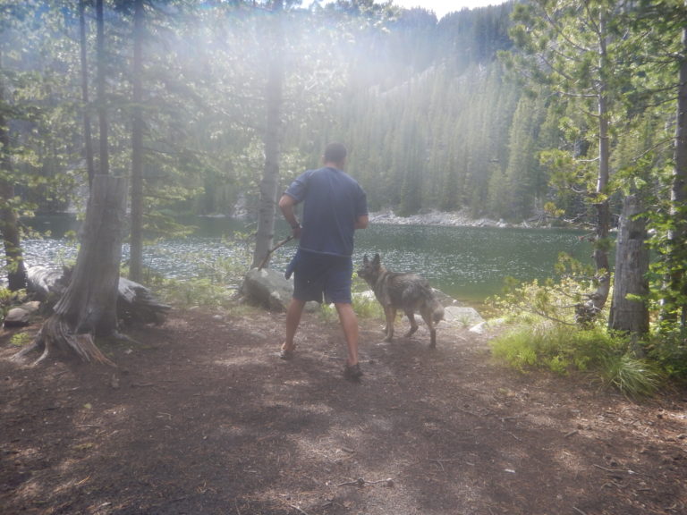 Man vs. Nature: Into the Wild