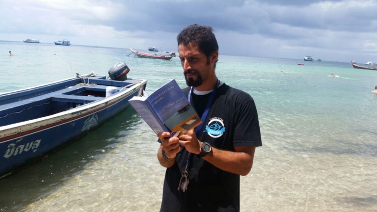 Blog Giveaway: FREE Southwest Airlines Flight!!!