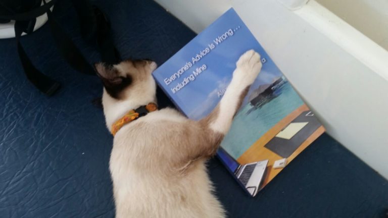 Blog Giveaway! FREE Flight, No Purchase Necessary