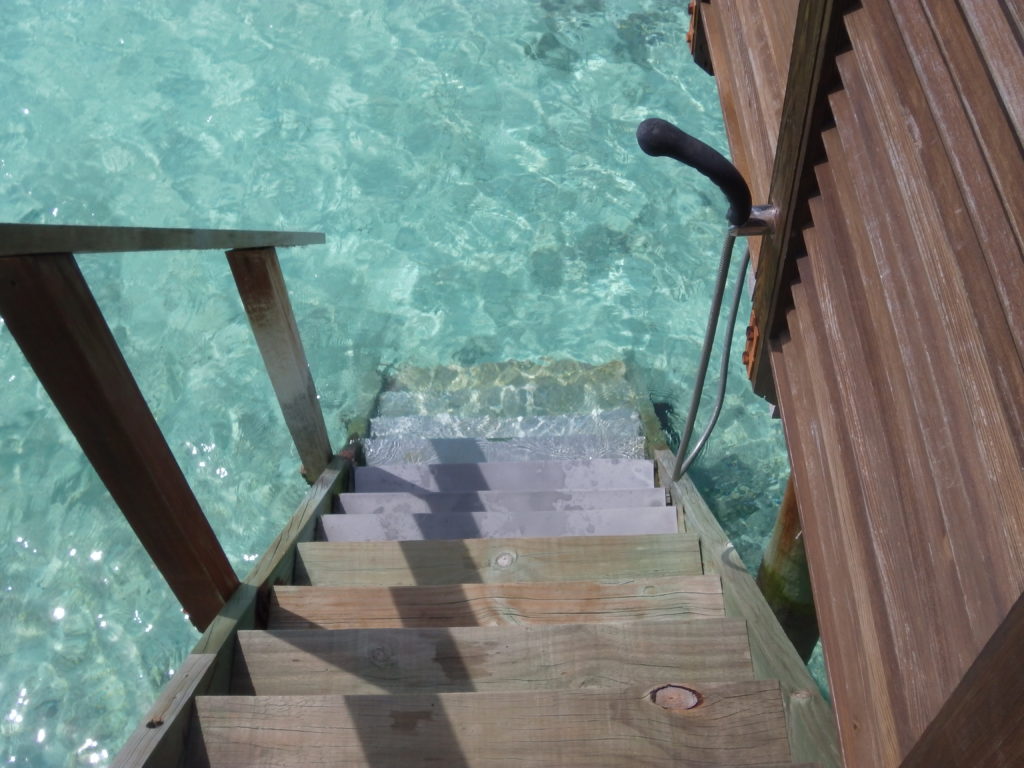 a wooden stairs leading to a body of water