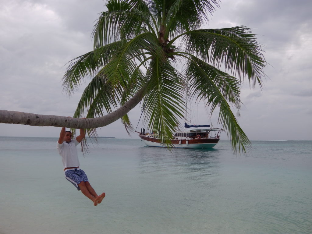 a man swinging on a palm tree in the water