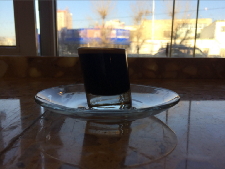 The Press in Ulaanbaatar