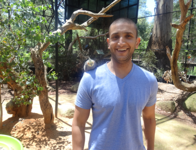 Three Little [Red] Birds