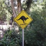 20131211_170506 (Copy) (Copy)