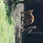 20131211_171015 (Copy) (Copy)