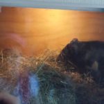 20131211_190547 (Copy)