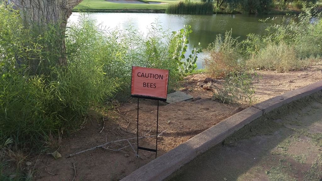 Caution Bees! 