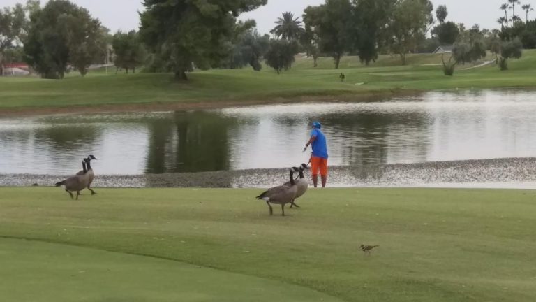 Scottsdale Continental Golf Club: Baller on a Budget