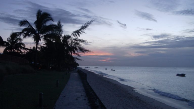 Parents Just Don’t Understand