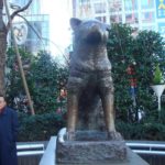 Tokyo (236) (Copy) (Copy)