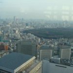 Tokyo (512) (Copy) (Copy)