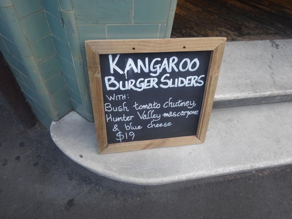 Kangaroo Sliders 