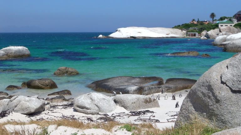 Guns & Butter: Cape Town Travel Guide