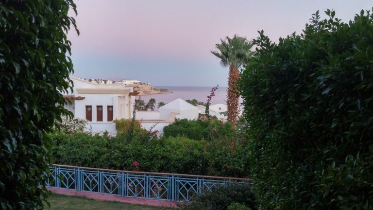 Hyatt Sharm el-Sheikh Wants My Stool Sample