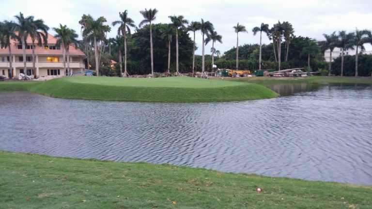 Making America Great Again: Golden Palm At Trump National Doral