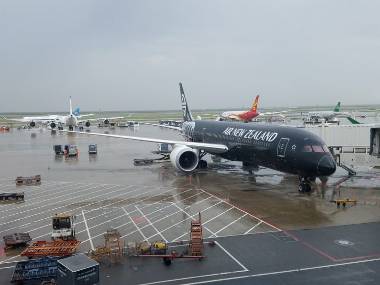 Air New Zealand PVG-AKL: The Black Mamba