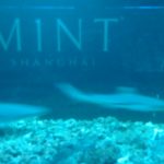 IMG_20160520_014153