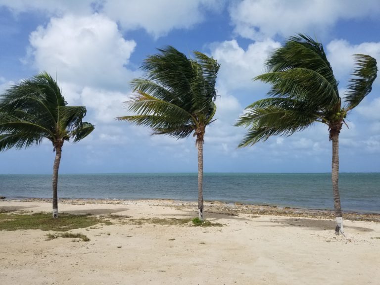 Holiday Inn Grand Cayman: Where’s the Beach?