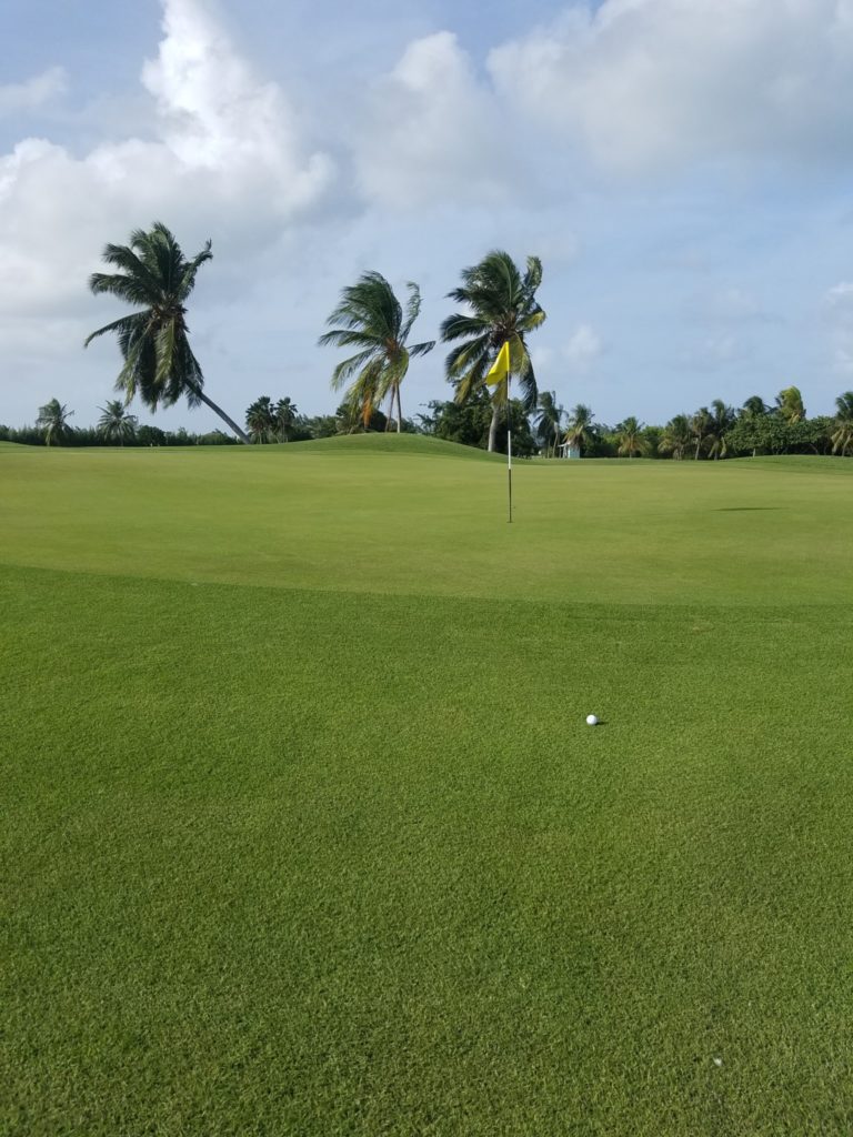 Grand Cayman Golf: You Can Afford It