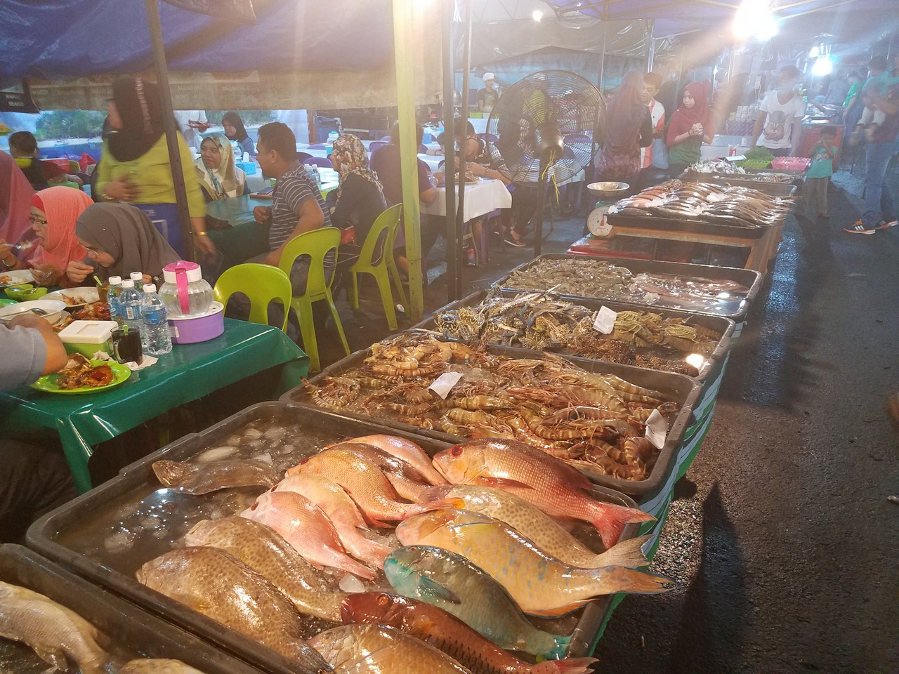 The Night Market 