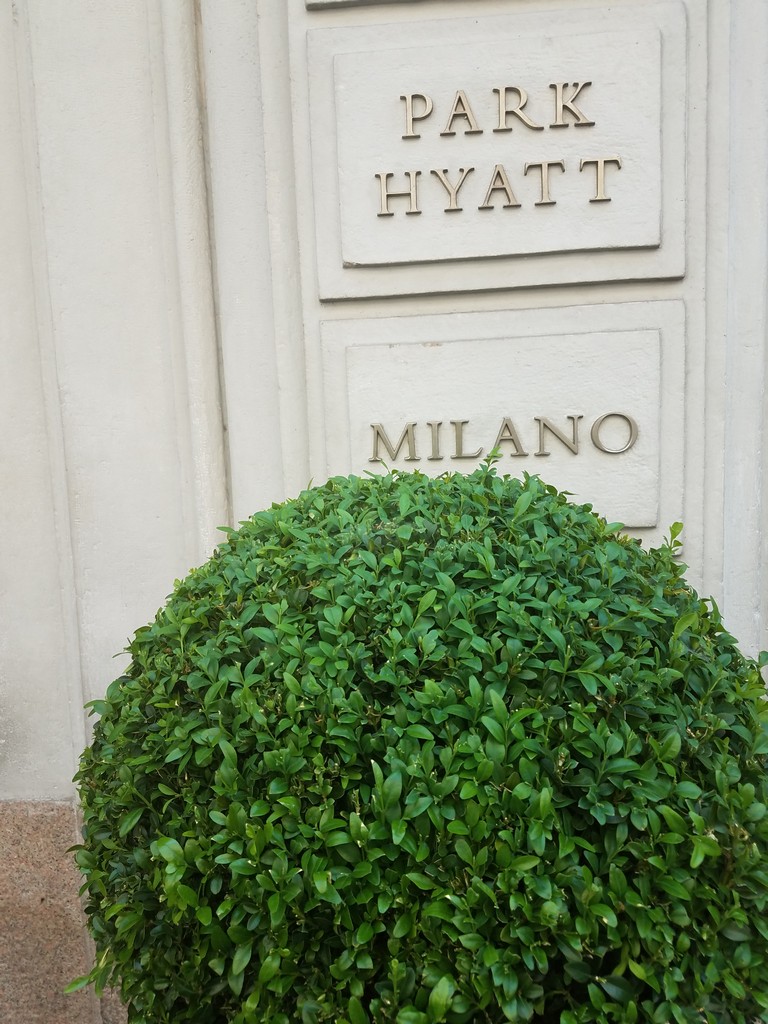 a bush in front of a sign